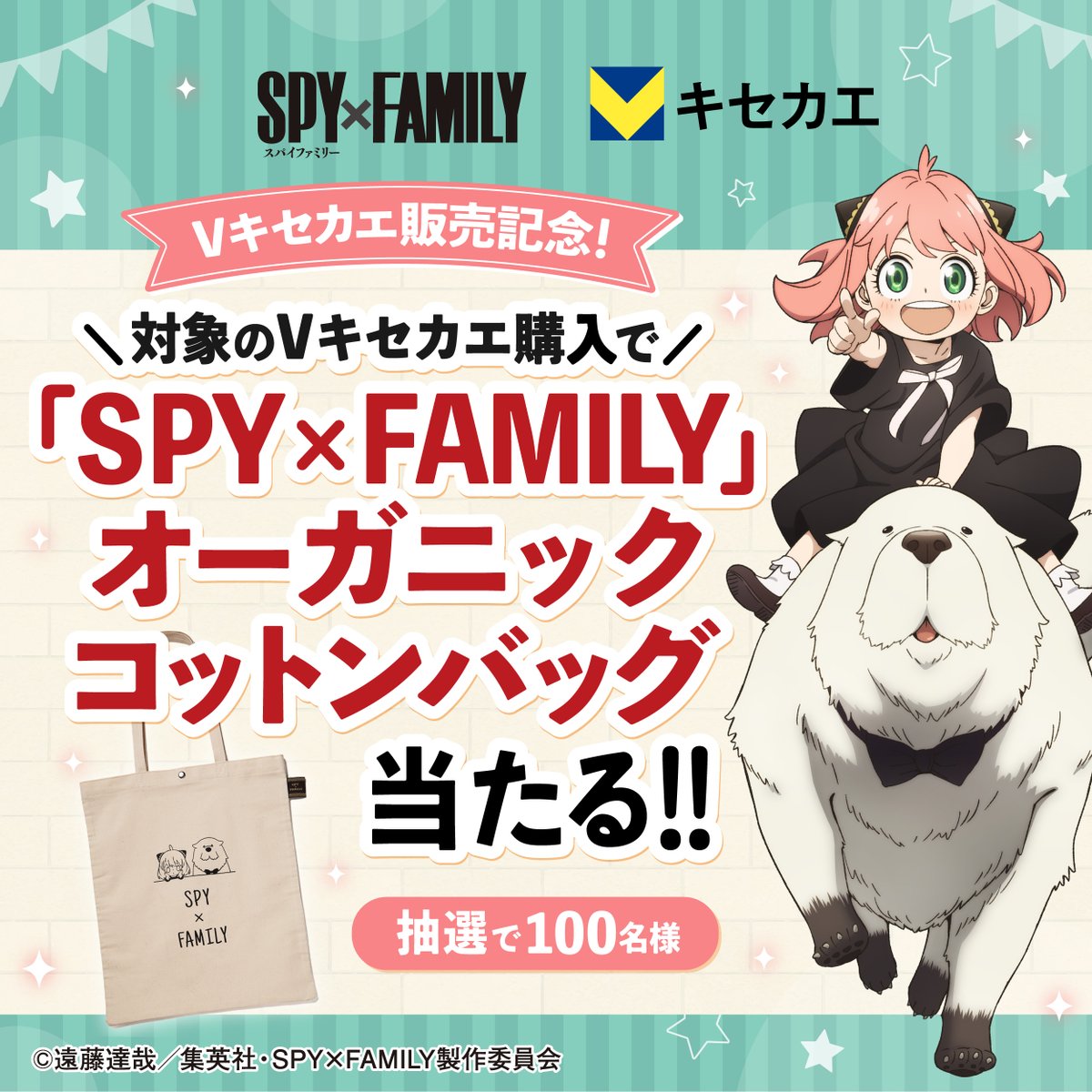 TVアニメ『SPY×FAMILY』 V着せ替えサービス登場🎉✨ ＼ ・デザイン：全