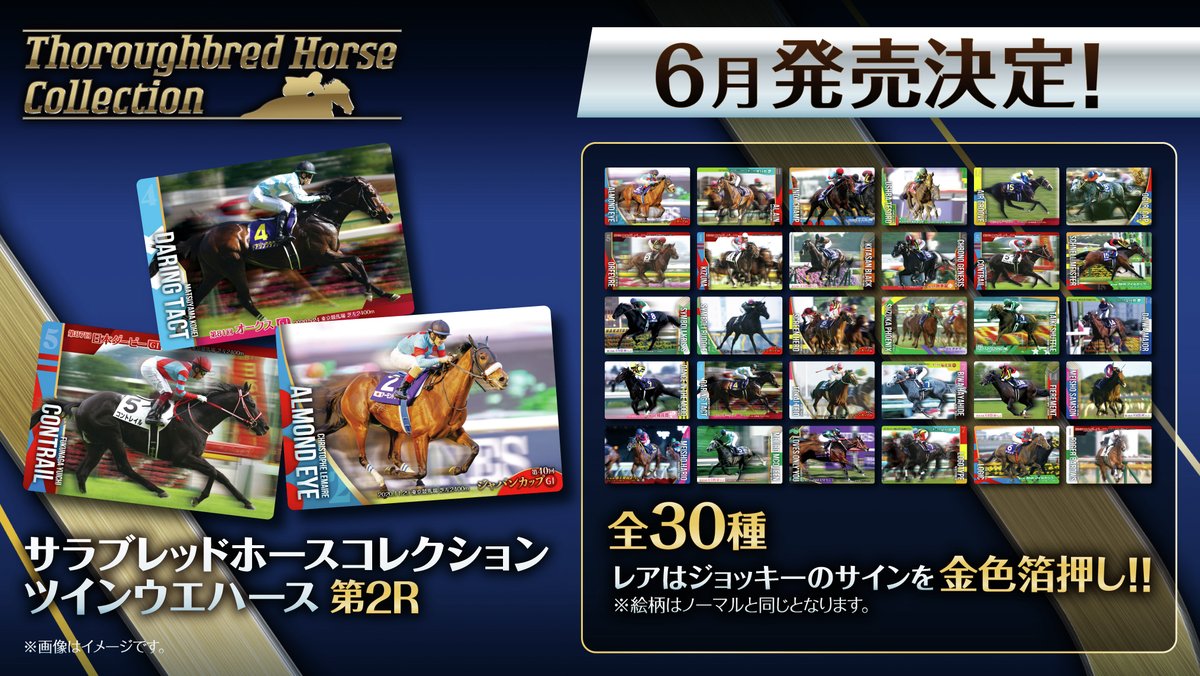 6月発売決定／ ご好評により #サラブレッドホースコレクション の第2弾