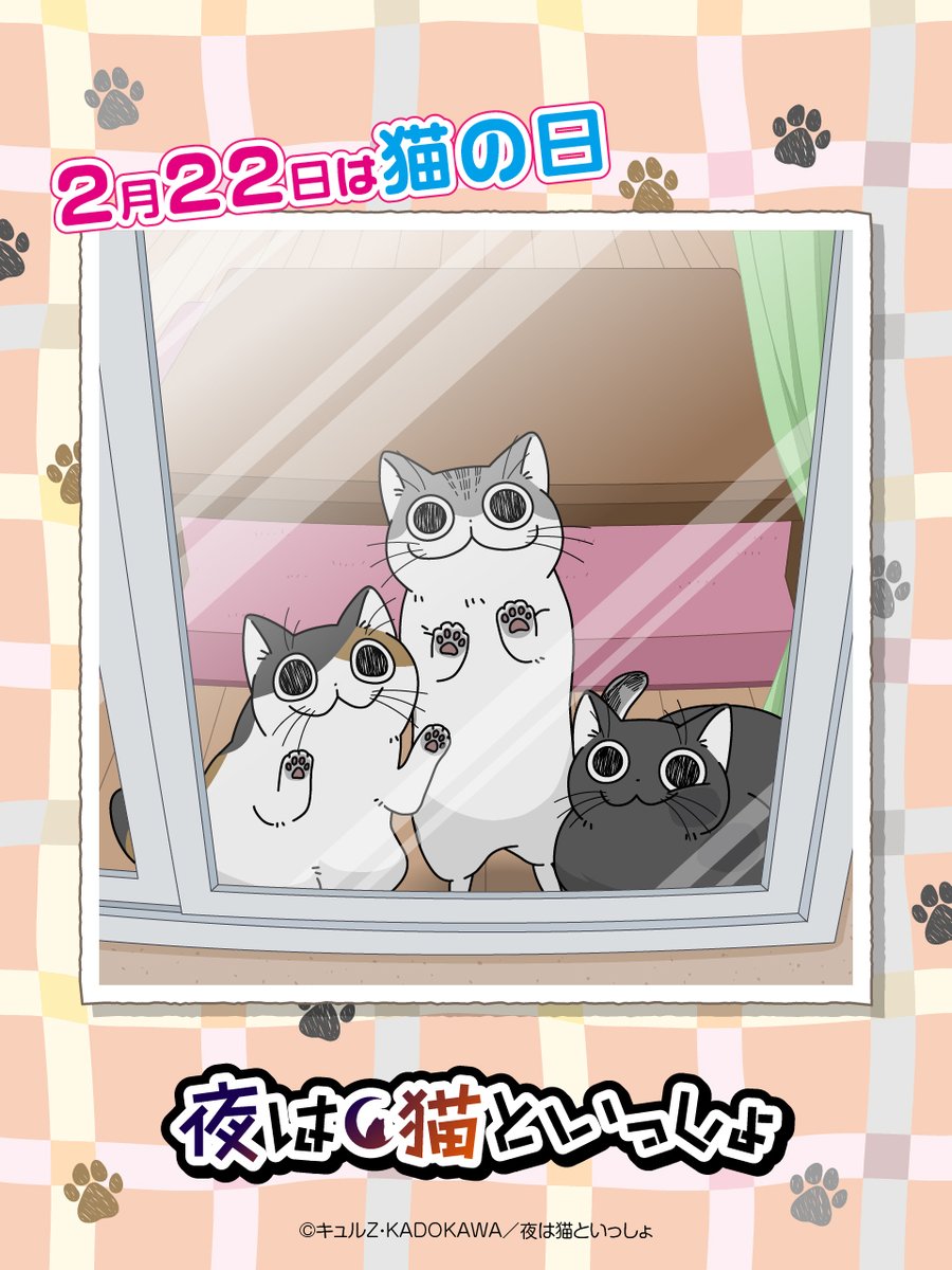 🐱2月22日は #猫の日 🐈💕 #プレゼント ＼ 2025年「猫の日」記念の