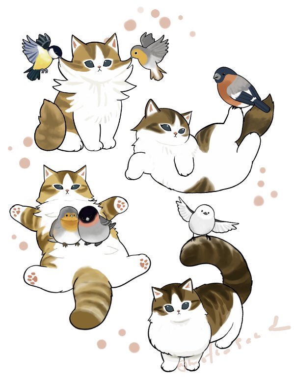 Post by ぢゅの🐈 on X: 長毛にゃん