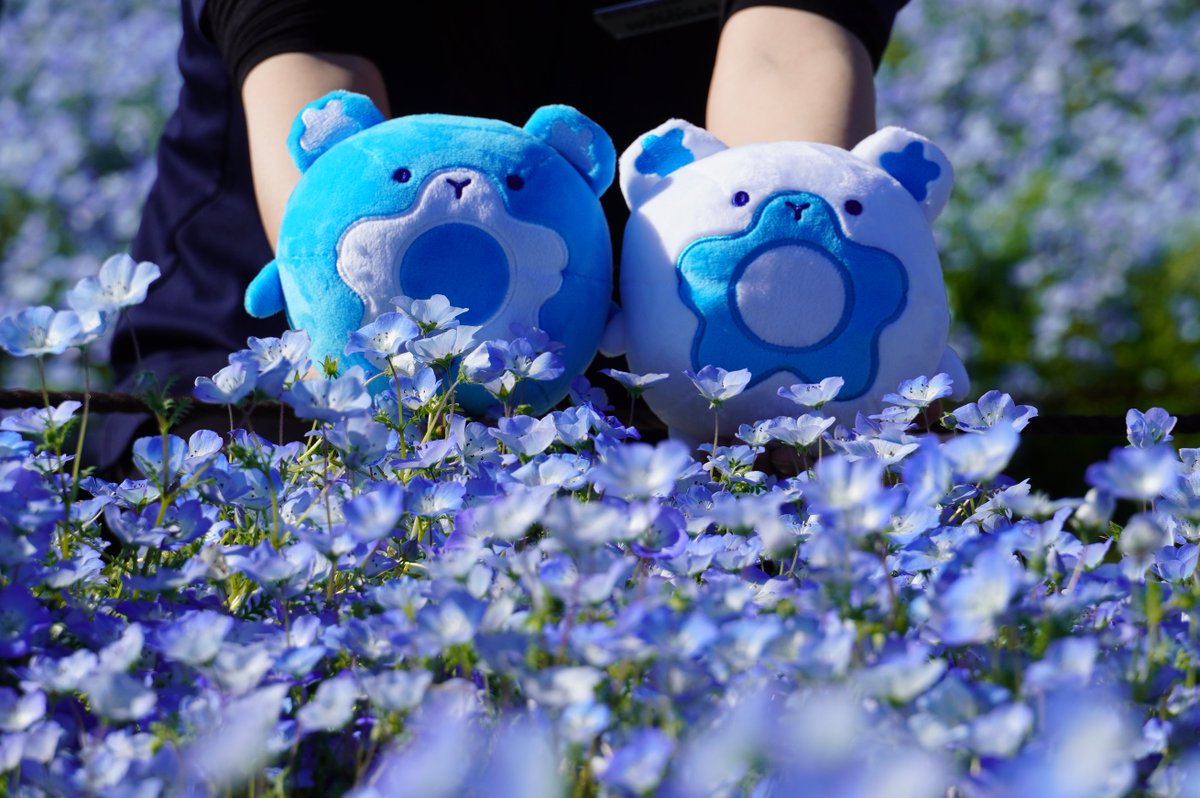 今回は春のネモフィラグッズのご紹介します！ #ネモフィラ をモチーフ