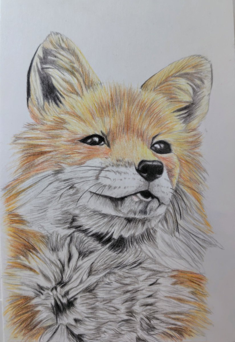 もふ/色鉛筆画 (@mofu_iroenpitu) / Posts / X