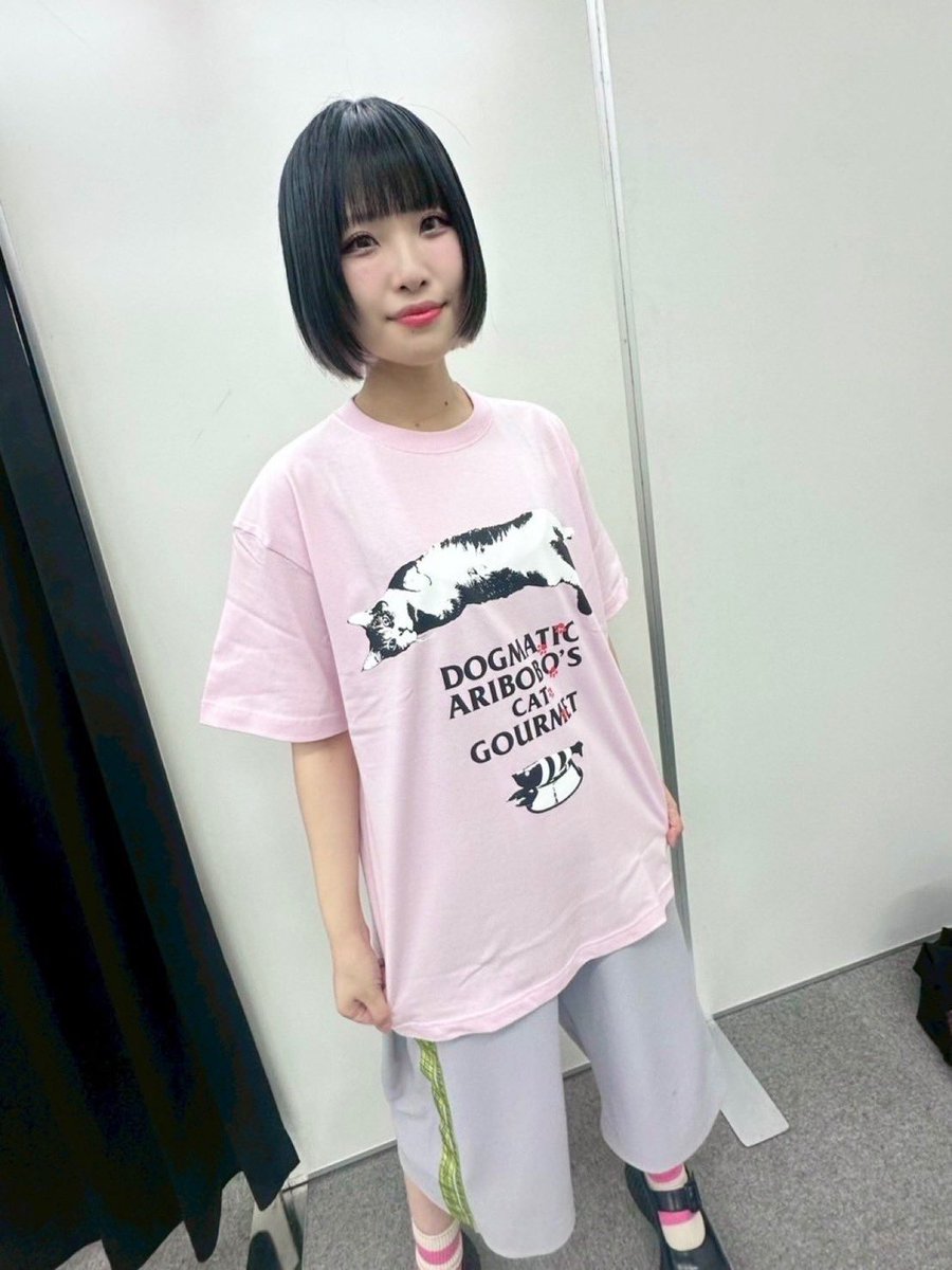 ありぼぼ × DOGMATIC GOURMET コラボTシャツ 猫独断〜DOGMATIC