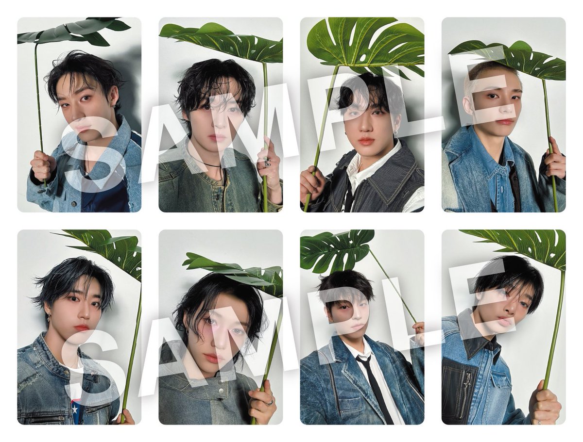 スキズ タワレコ Hollow SKZOO エコパ Stray Kids PRE STRAY KIDS dominATE Japan Tour 2025 Official MD SKZOO Soft Toy