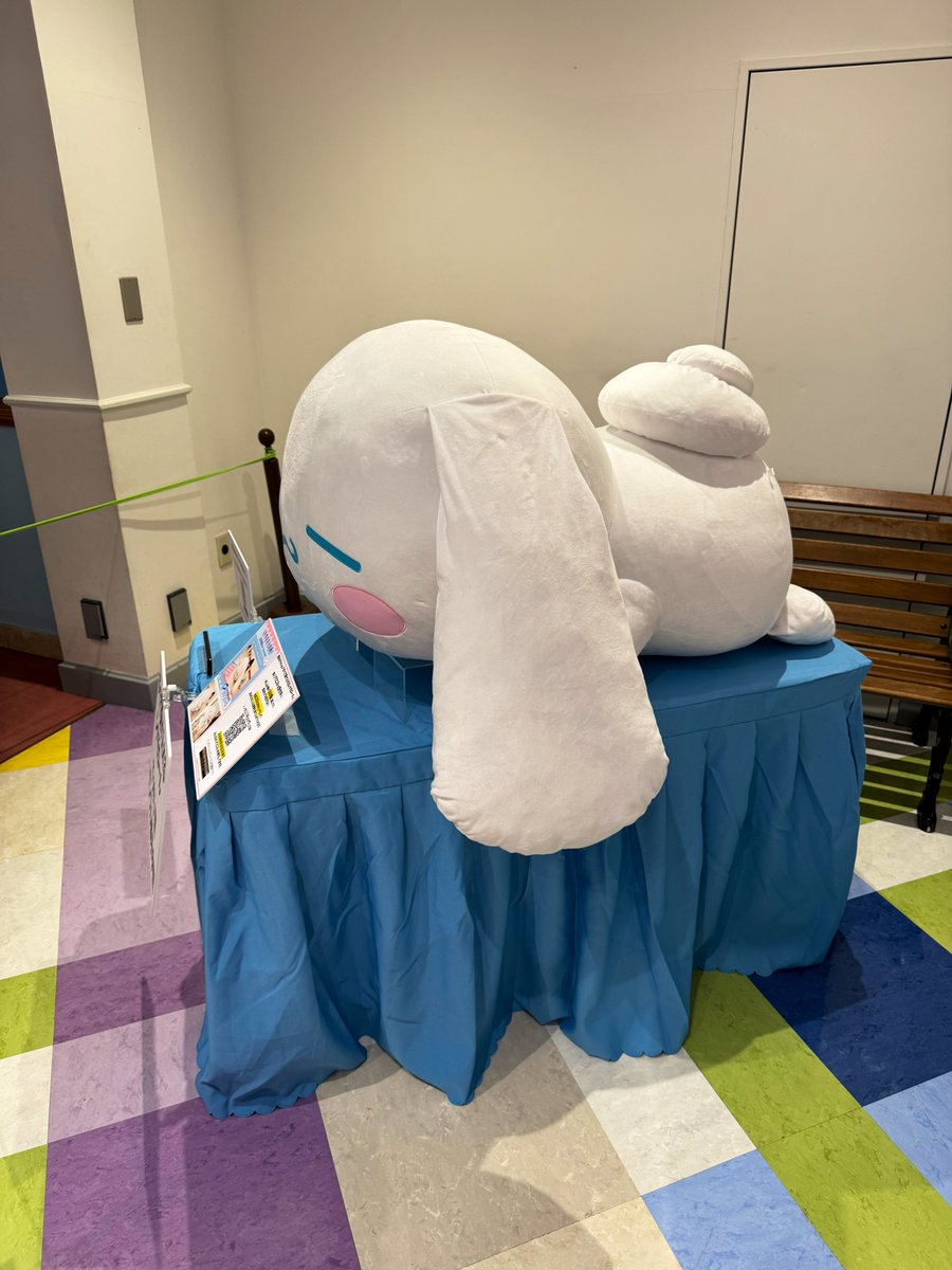 すべて受け入れるシナモロール︎︎︎︎☁