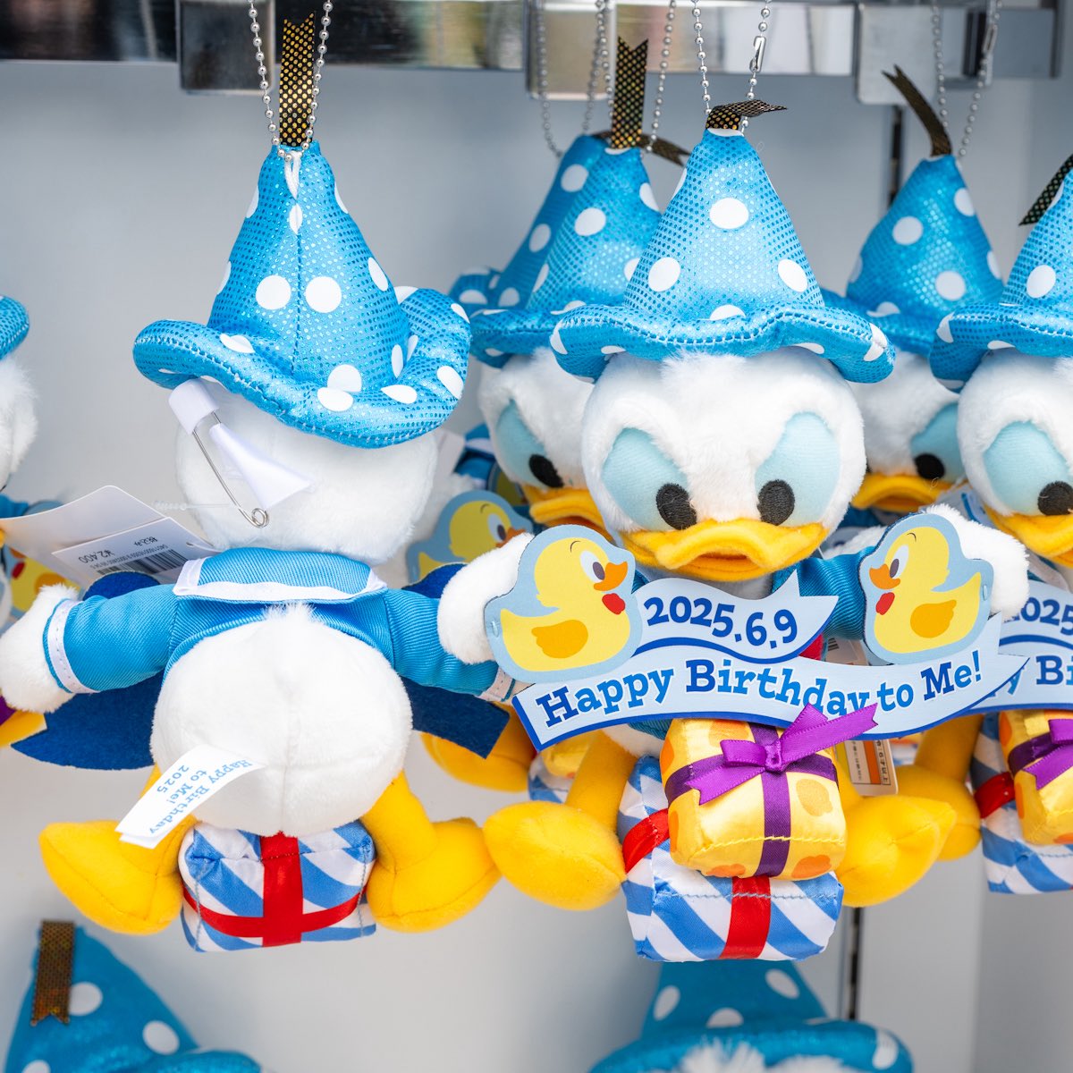 2025年のお誕生日をお祝い！ 東京ディズニーリゾート 「ドナルドダック