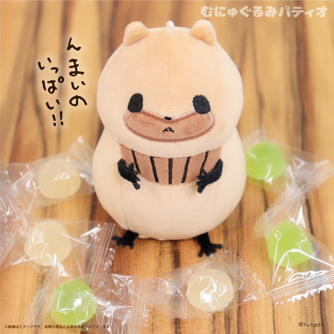 たぬきぬいぐるみ受注生産します✨】 明日6月10日(火)開始です✨ 7月