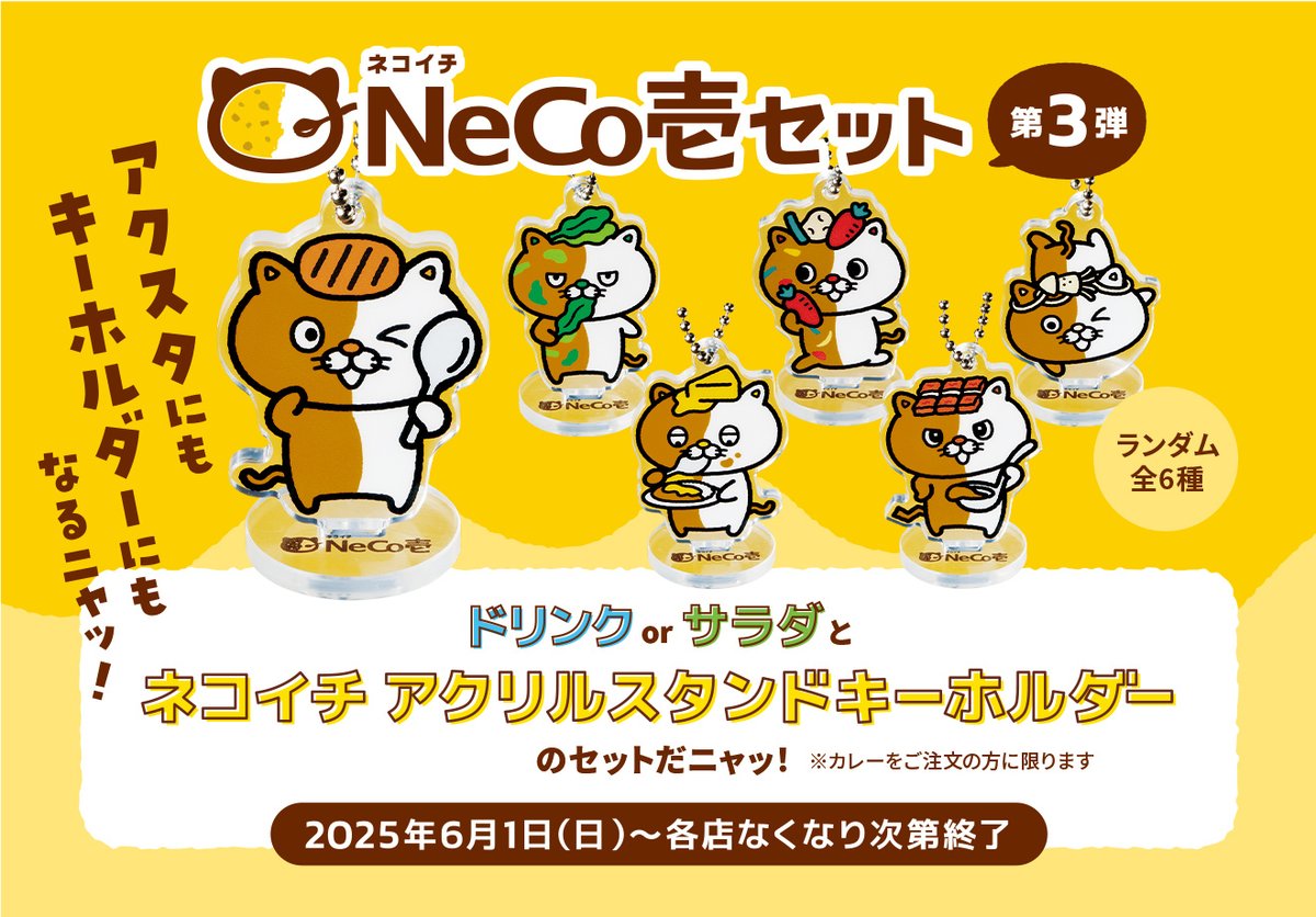 ネコイチ ファンの皆さま❗ お待たせいたしました❗ ＿＿＿＿