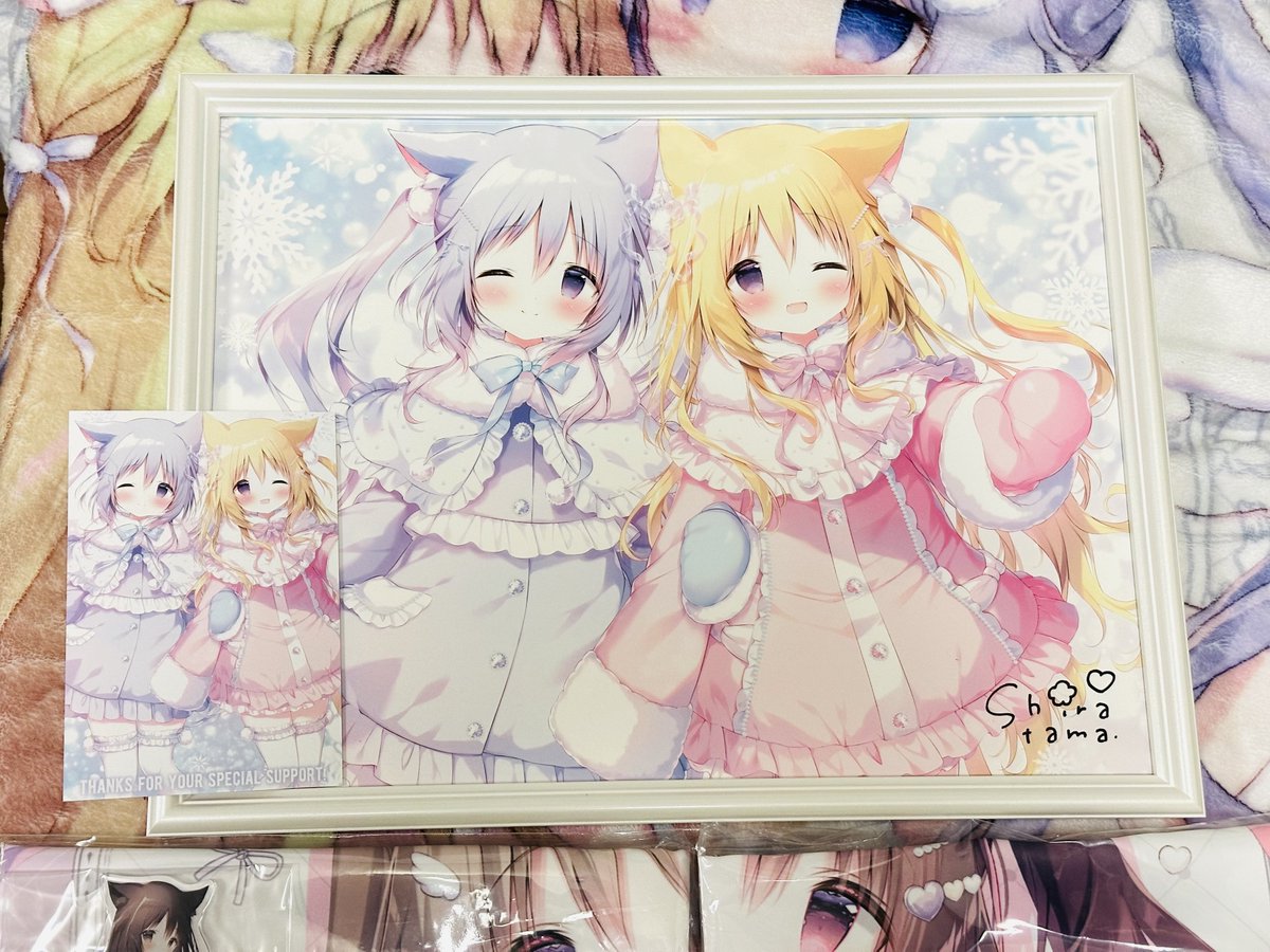 しらたま先生(@shiratamacaron )のFANBOX継続支援特典が届きました