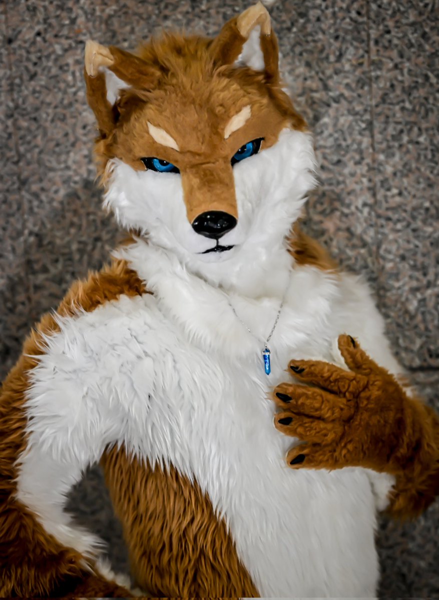 ⛩️𝘔𝘈𝘙𝘖-麿⛩️→🇹🇭→🇹🇼 (@furry7mikoto) / Posts / X