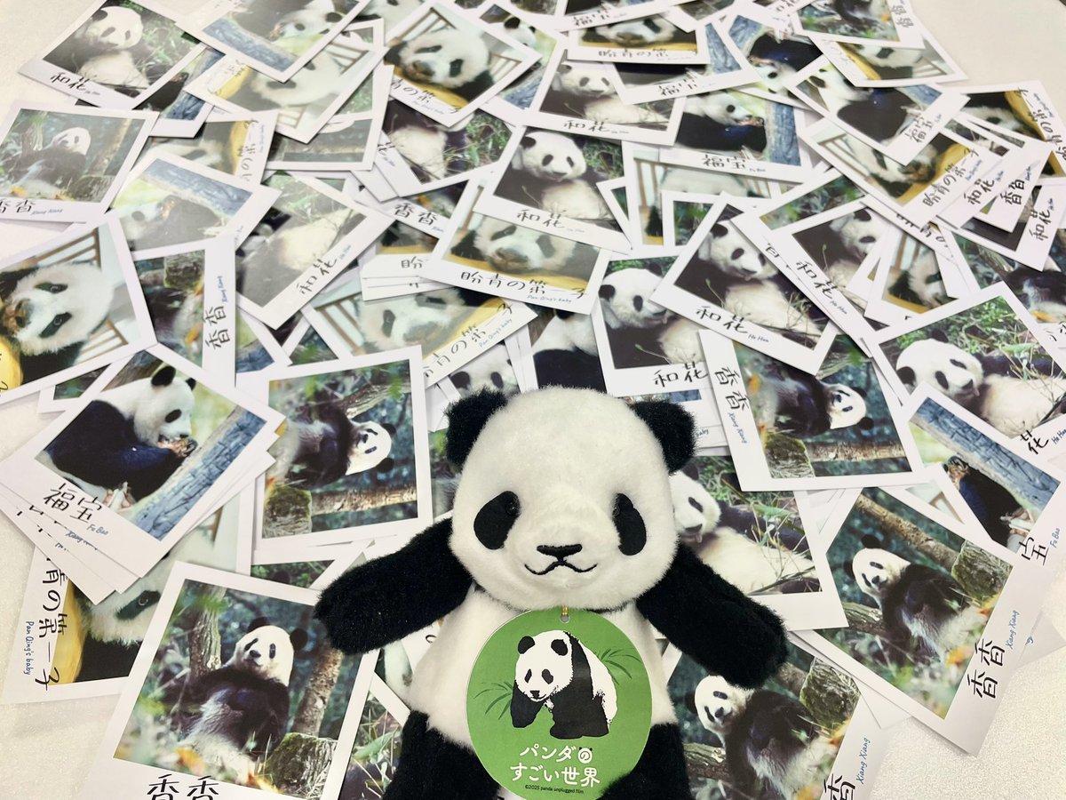 入場者特典配布終了のお知らせ】 『＃パンダのすごい世界』 ご好評