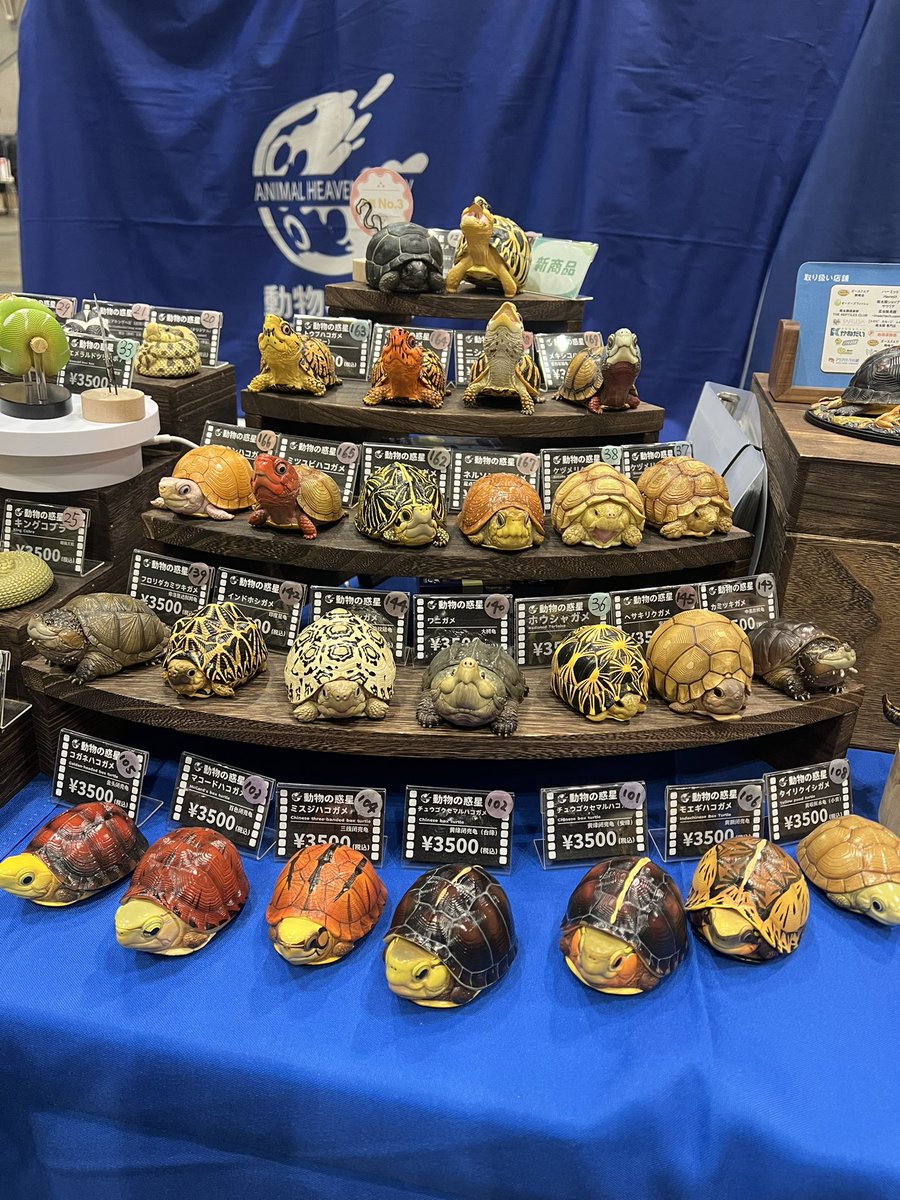 動物の惑星〜アニマルプラネット WF 6-05-08 (@animal2023jp) / Posts / X