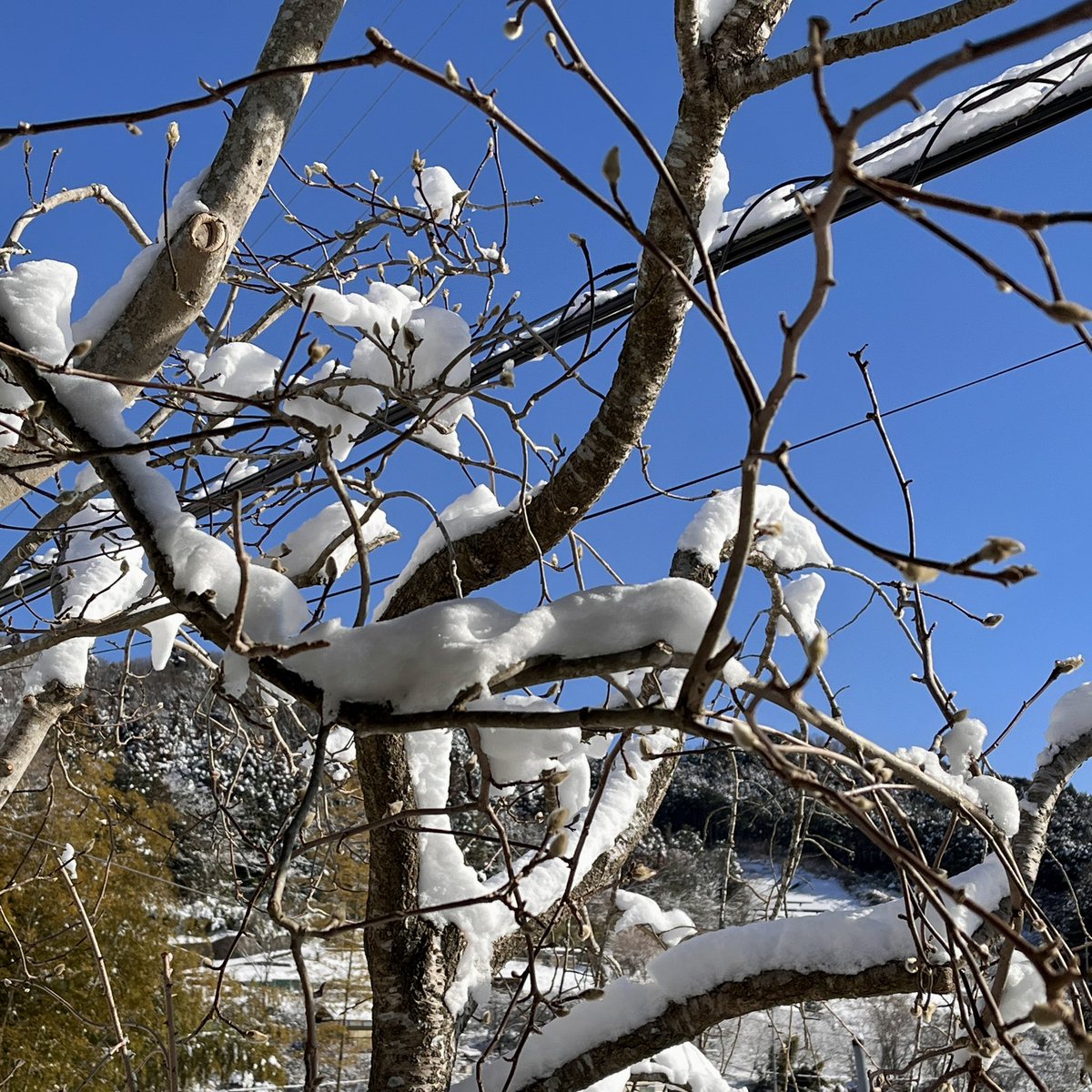 吹きガラス 小野省三 (@ONO_Shozo) / Posts / X