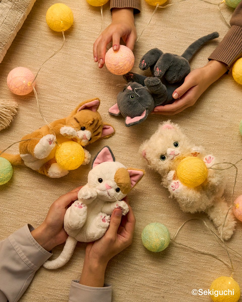 セキグチ公式オンラインショップ (@sekiguchi1918) / Posts / X