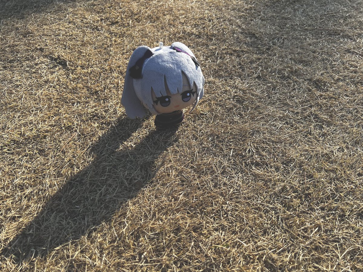 Post by ちびきりちゃん on X: ぁ……