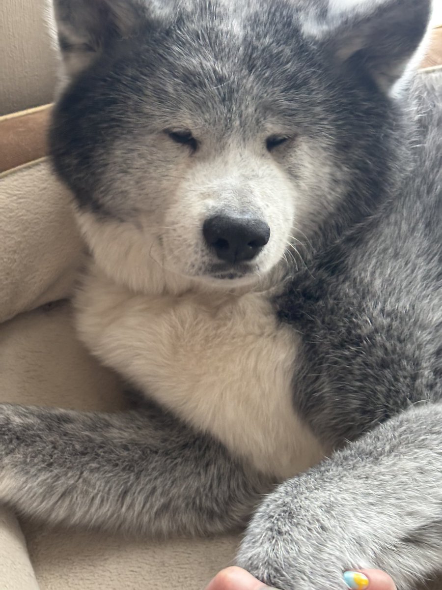 ْ (@65907_30_4) / Posts / X