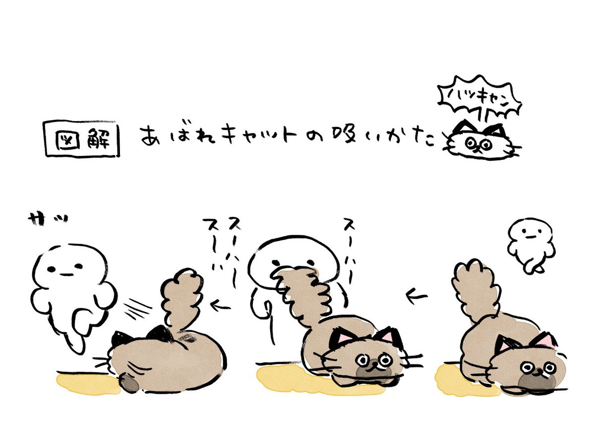 高橋きの 🐟ねこのぶーちゃんヤマシロヤ常設中〻ʘᴥʘ〻