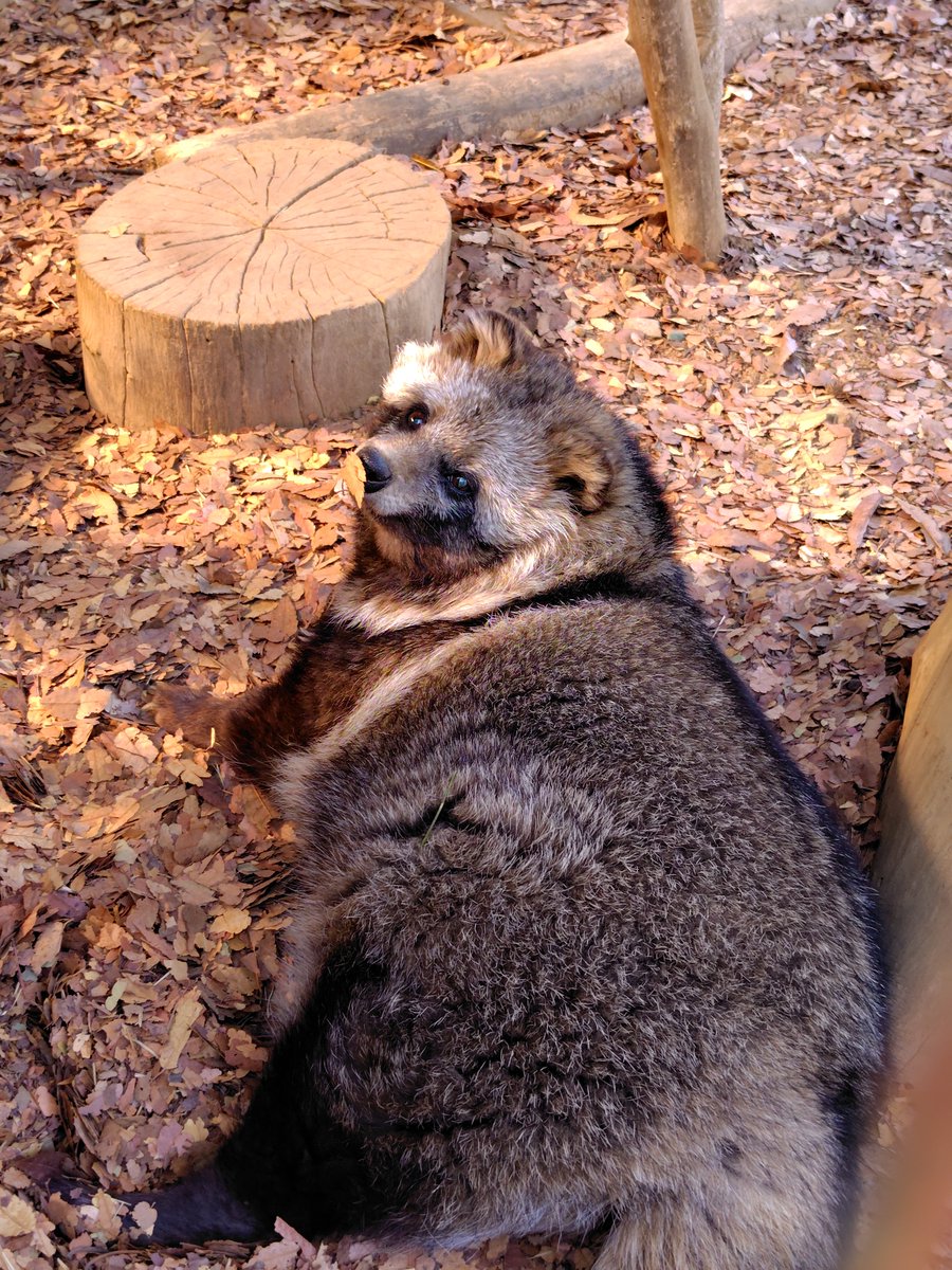 チラッと見てたぬき寝入り続行を選択