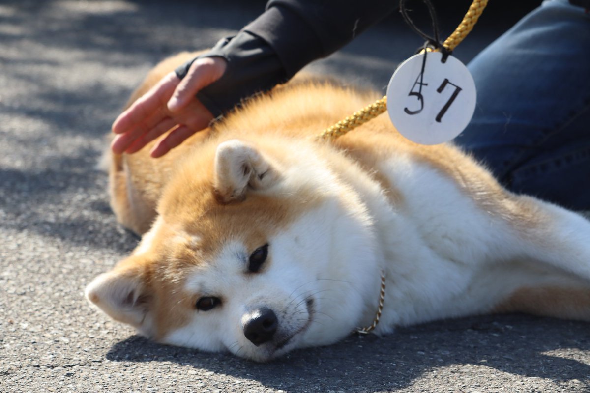 ْ (@65907_30_4) / Posts / X