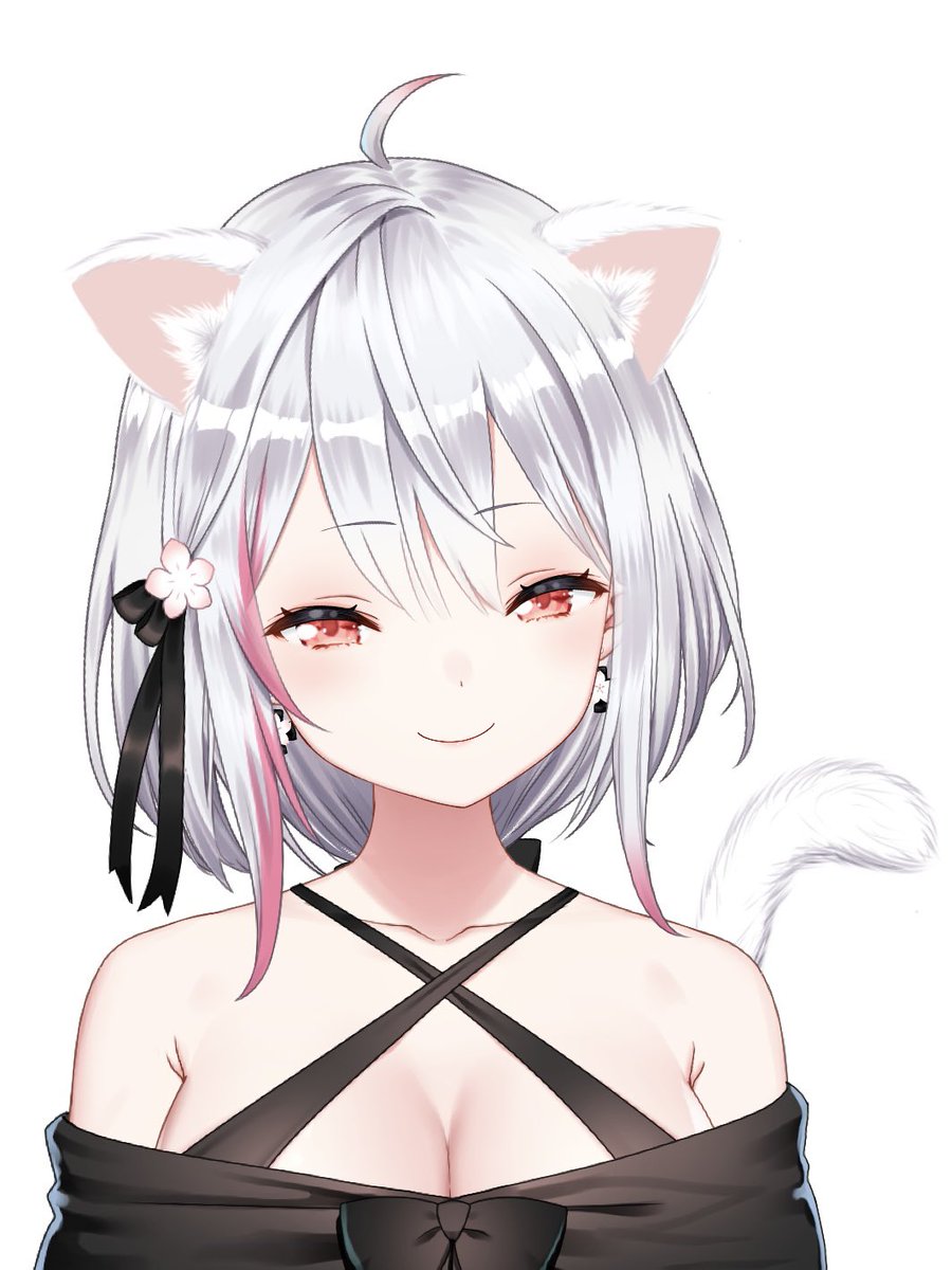 にゃんにゃんみーの日らしいですにゃ