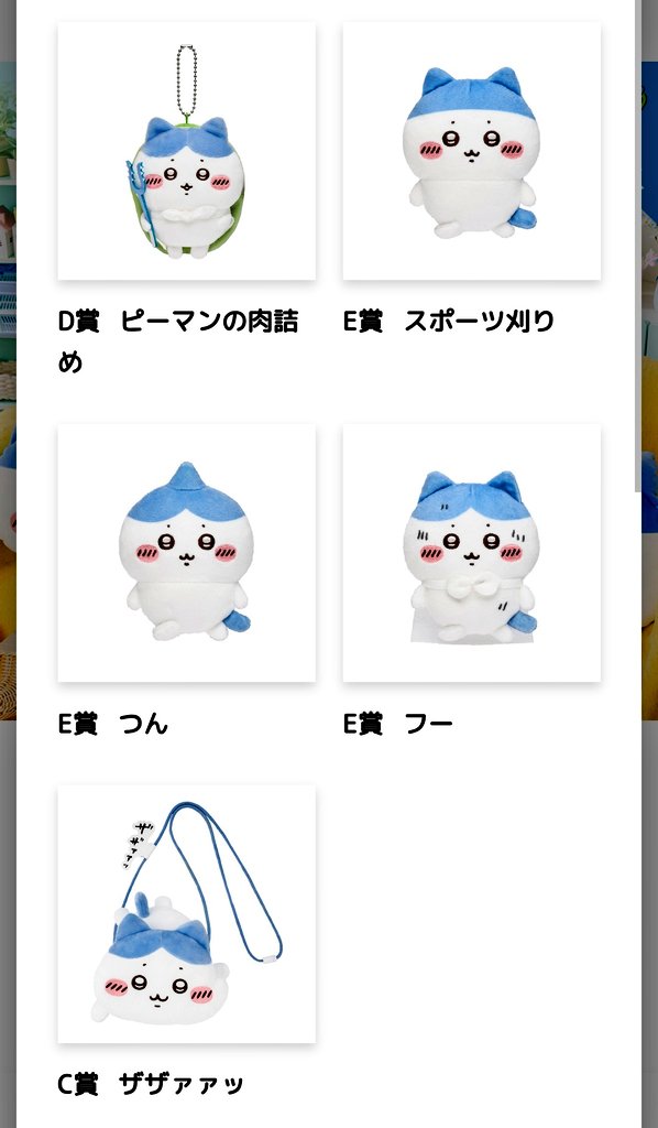ハチワレちゃんくじ 追加の5回でC賞出ました🤭 追加してよかった