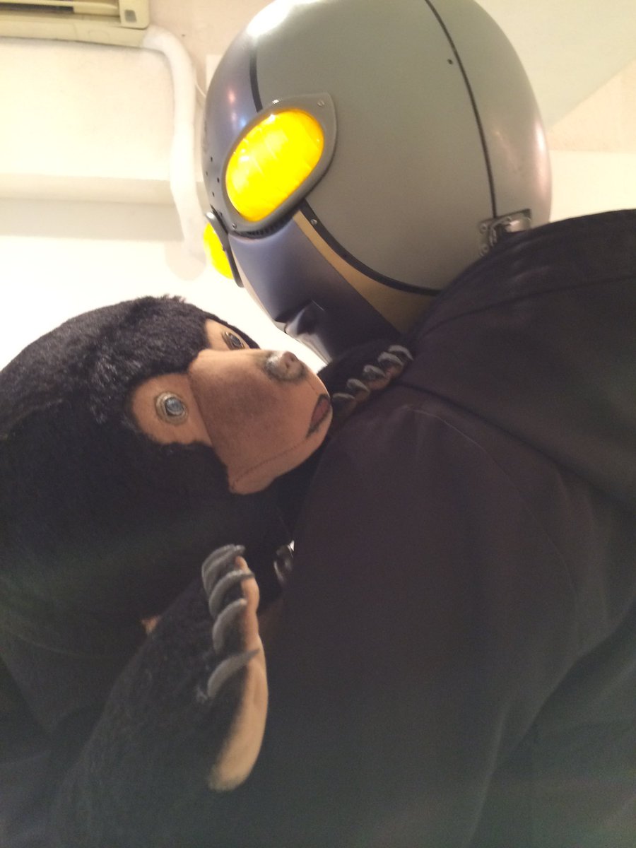 ひなたかほり🪴🐀 (@hinatique) / Posts / X