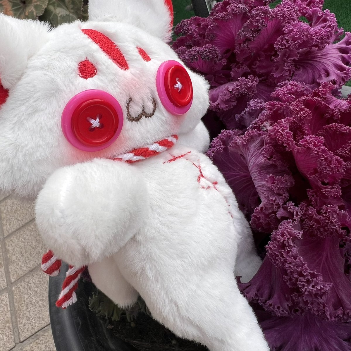 あかのきつねちゃんメルカリオークション残り2時間半程になりましたっ