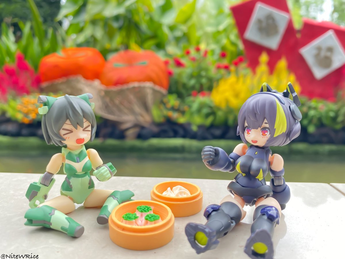 Lunar New Year festivities begin tomorrow. Have you finished your