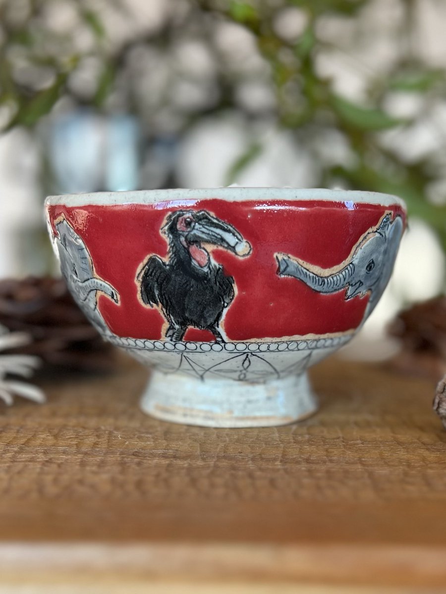 逃猫舎 (@nigenekosya) / Posts / X