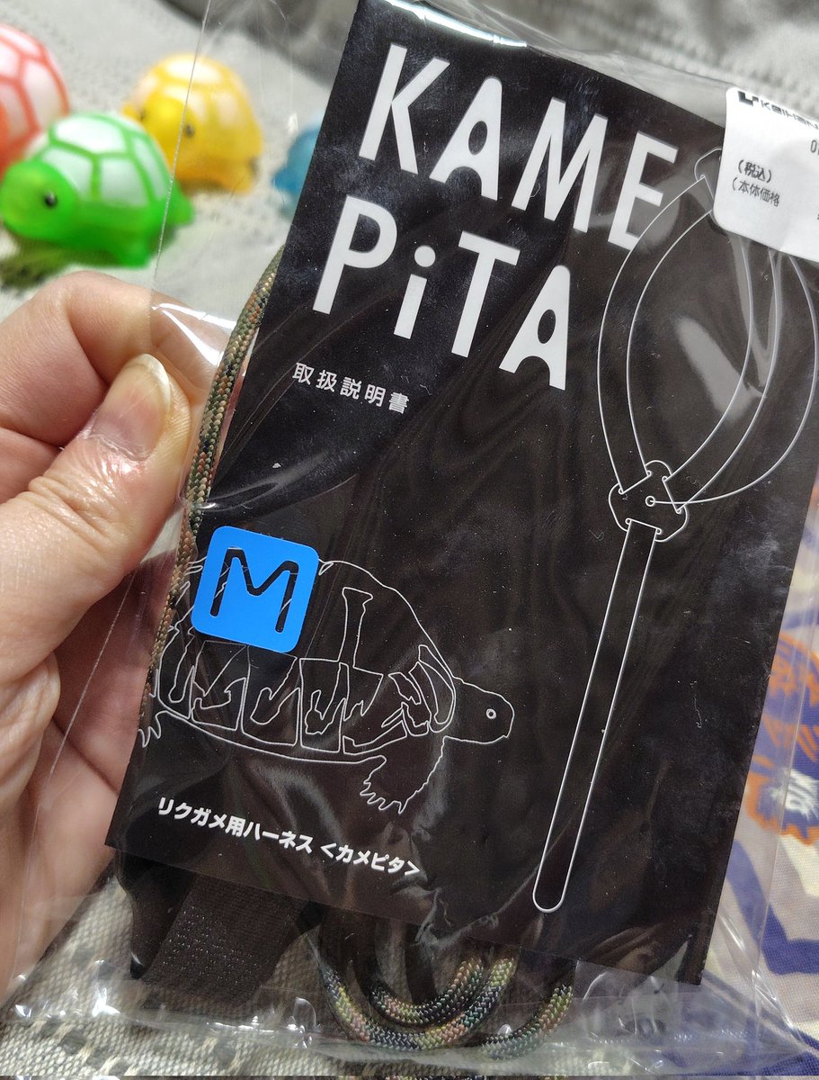 予定はめちゃくちゃでしたが、目的は無事達成🐢🐢🐢 これで暖かくなっ