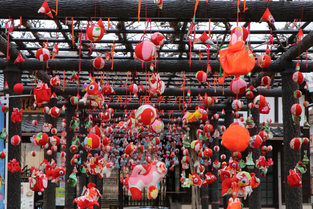 水郷いたこ雛巡り 開催中】 期間：2月14日(土)～3月3日(火) 会場