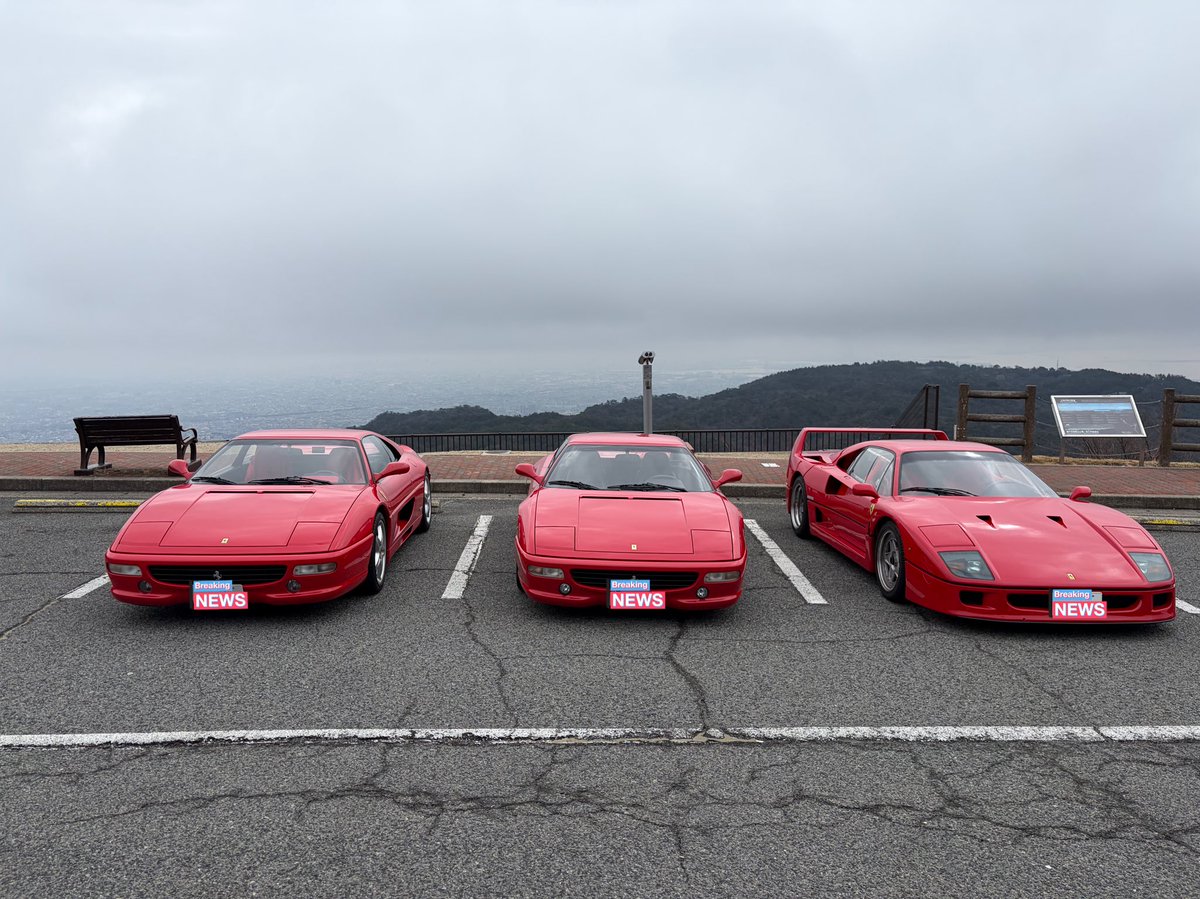 40-0 (@QuarantaAmore) / Posts / X