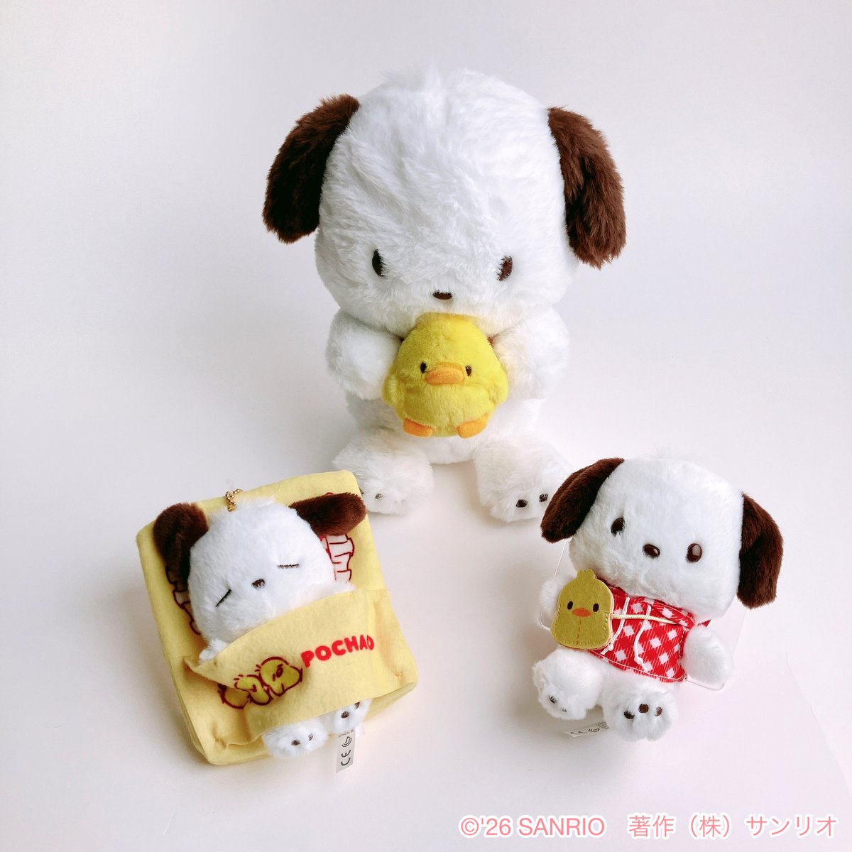 チーズ (@0qyOJeIJAGqPXqt) / Posts / X