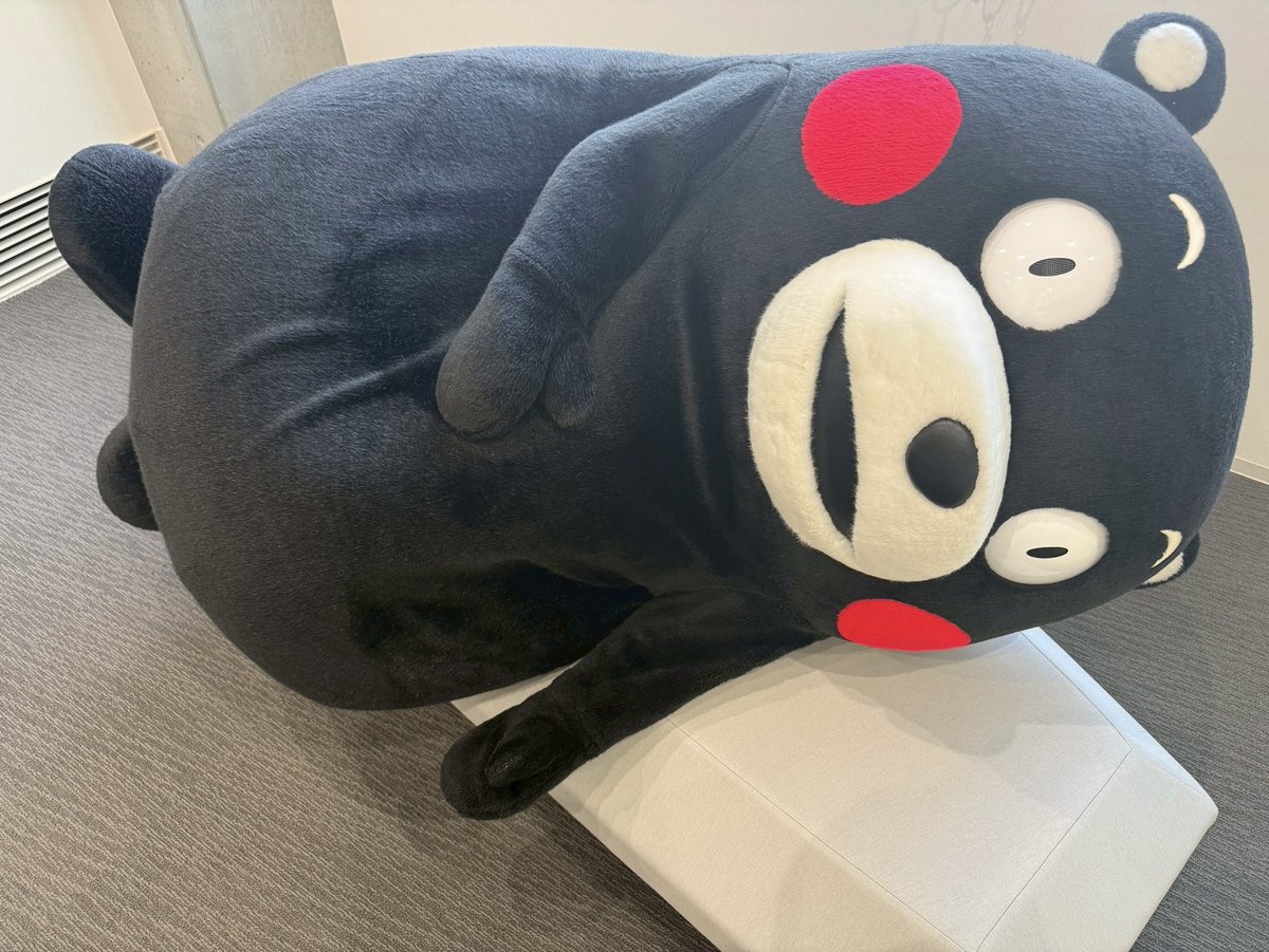 RT @55_kumamon: みなさん、ゆっくり休んではいよ〜。おやくま〜☆