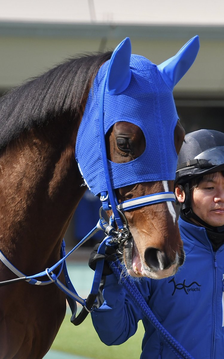 2026.2.10 東京6R 3歳未勝利 〗 シャオママルと同じ牧場で育った