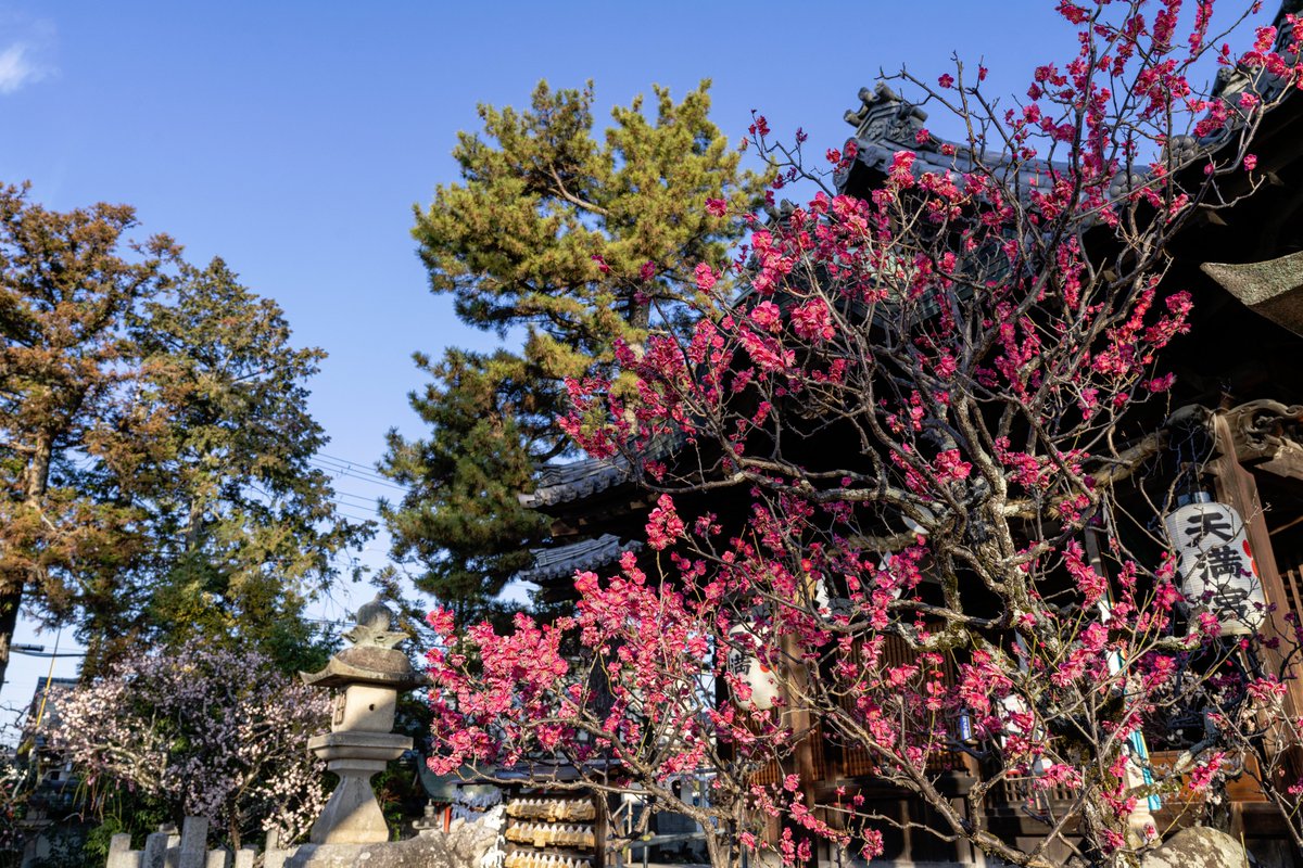 山田 太郎 (@nek54321) / Posts / X