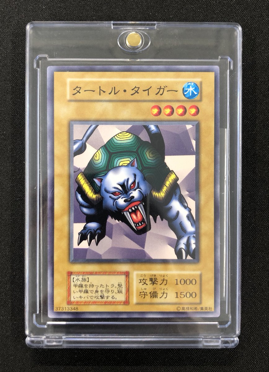 商品情報】 以下の商品を価格調整いたしました！ タートル・タイガー