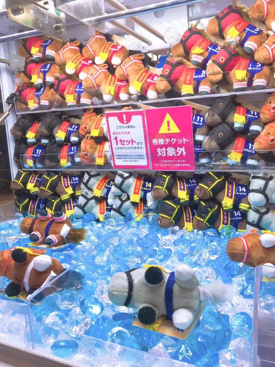 🗣️景品入荷情報 『サラブレッドコレクションぷちマスコットBC4