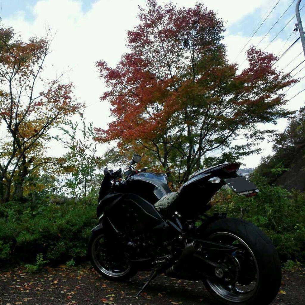 バイク歴を晒せ ライブDio ZX(規制前) ↓ DトラッカーX ↓ Z1000(10年