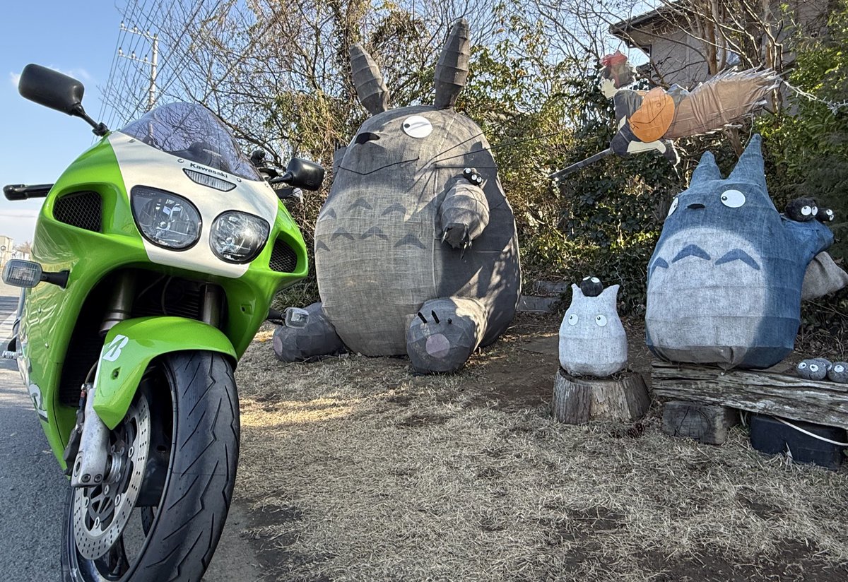 気になってたトトロと🤳🏻🏍