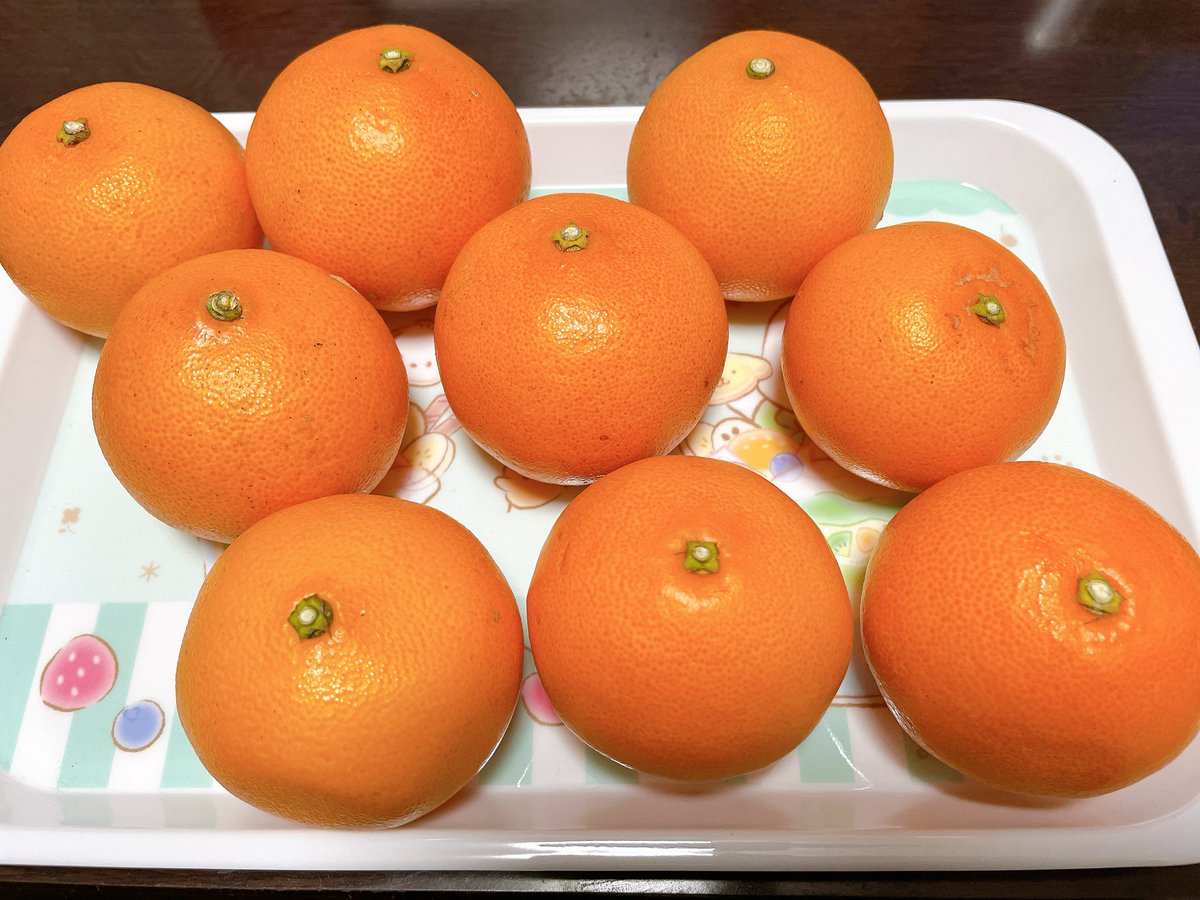 私の大好きなみかんの美味しい時期となりました🤤 せとか好きです😍 皮