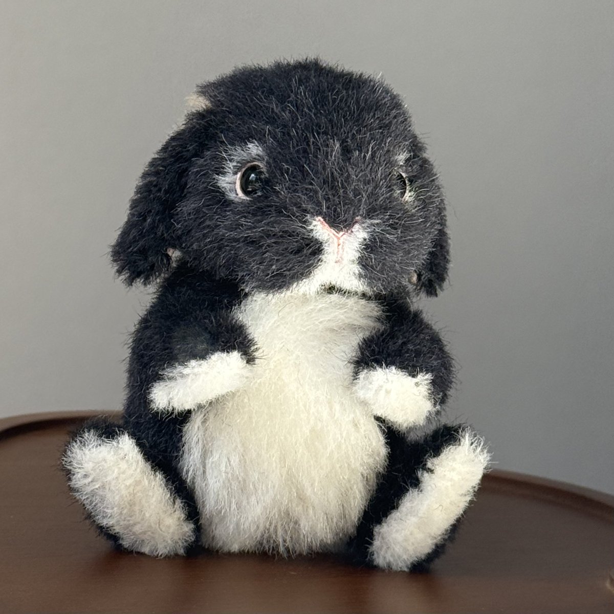 こうさぎテディベアのロップイヤー、ブラックオターです🐰