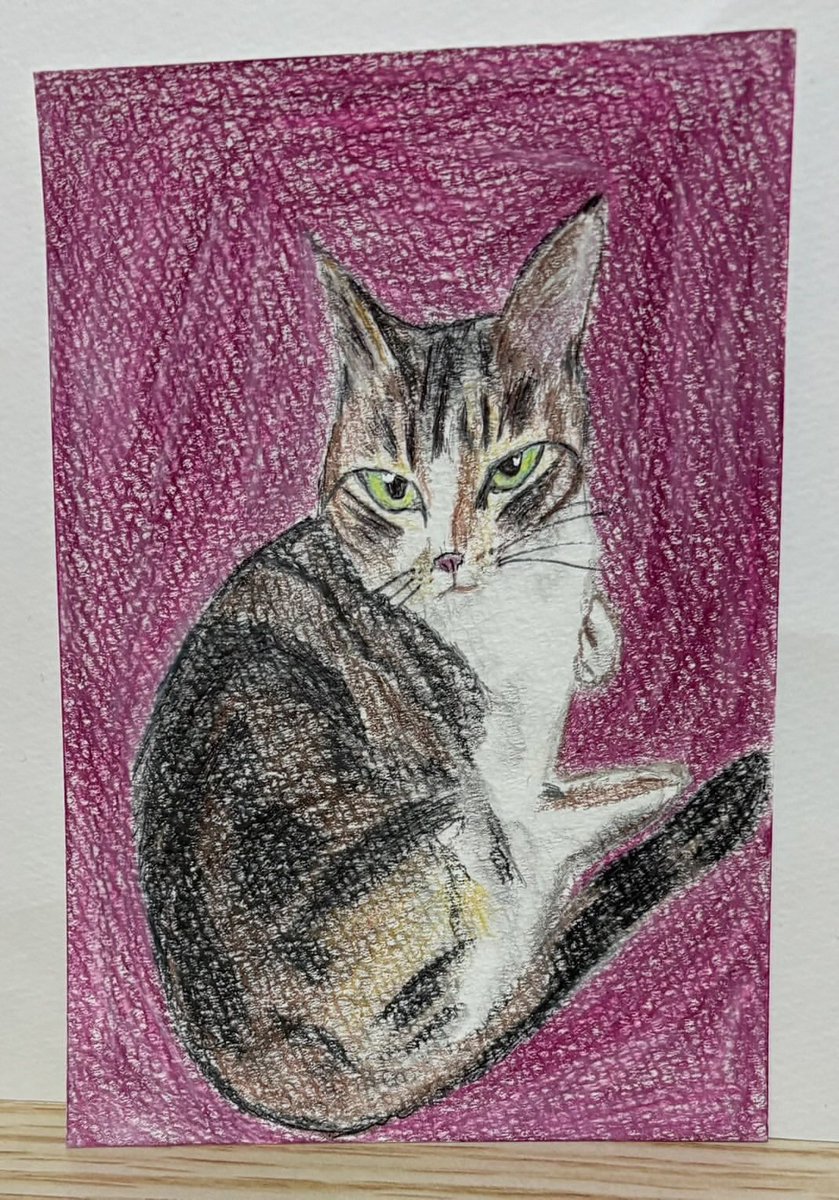 猫の絵 原画 色鉛筆画
