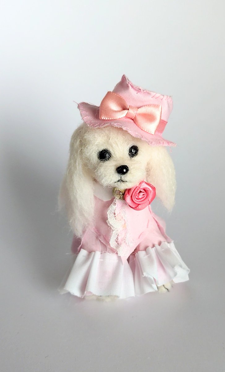 以前作った貴婦人風マルチーズです🐶今度は羊毛フェルトでお洋服が作れ