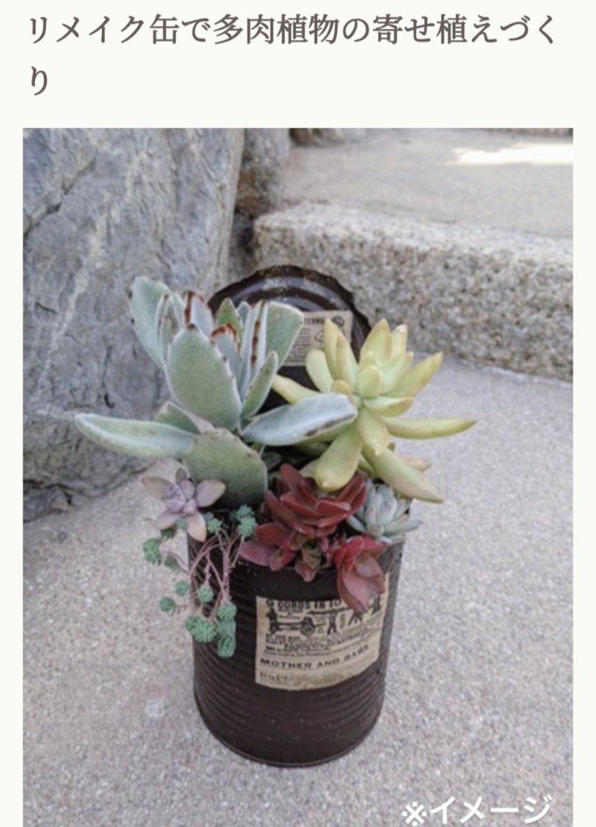 3/15『リメイク缶で多肉植物の寄せ植えづくり』 多肉植物の寄せ植えを