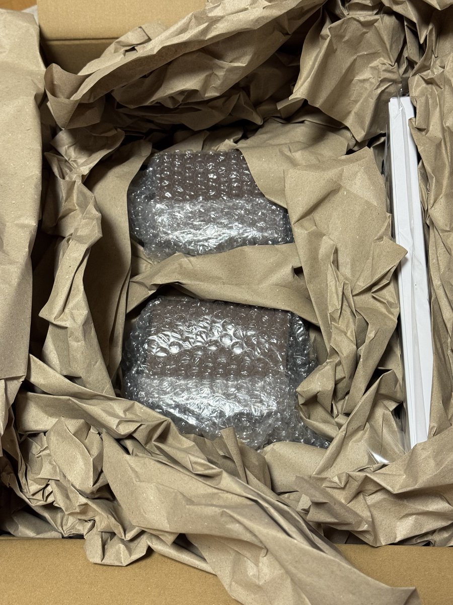 開封。 「絶対に守り切ってみせる！！！」という強い意志を感じる梱包