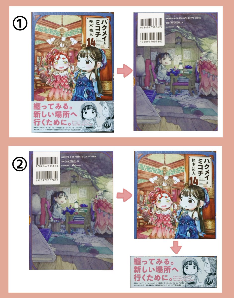 よくわかる！その上で表4（裏表紙）のハクメイのシルエットも、帯が