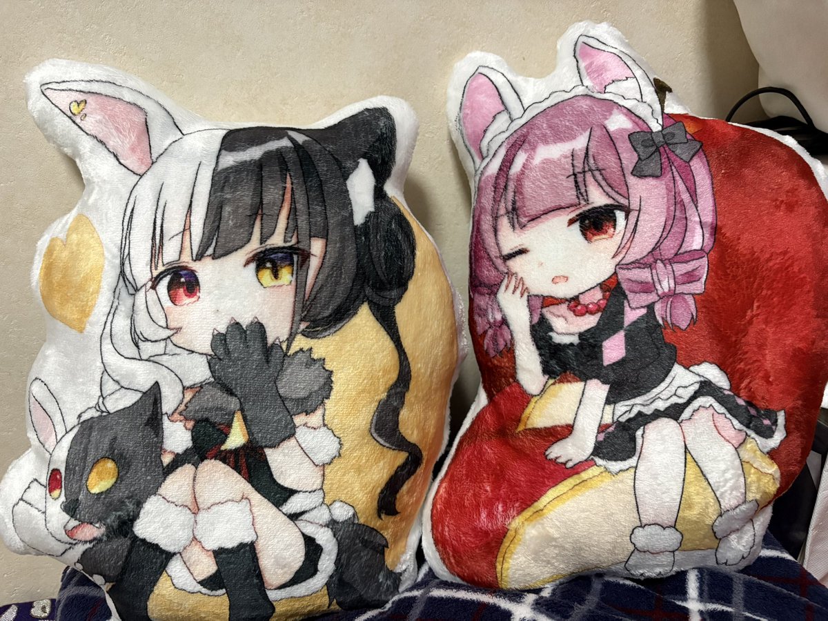 送料無料期間に注文したふかふかクッション届いた！ めちゃくちゃ触り