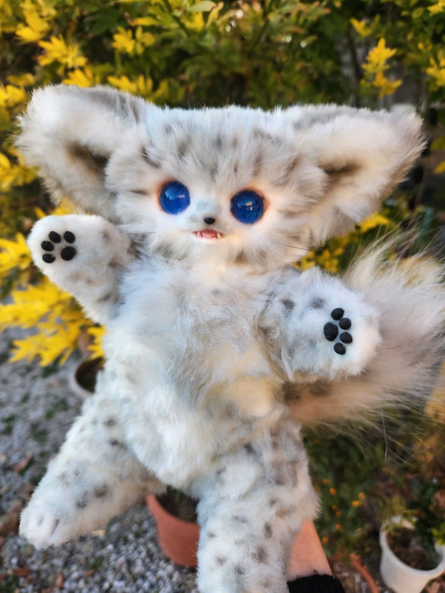 3連休はフォロワーさんが増えるらしい もふもふした幻獣さんを召喚