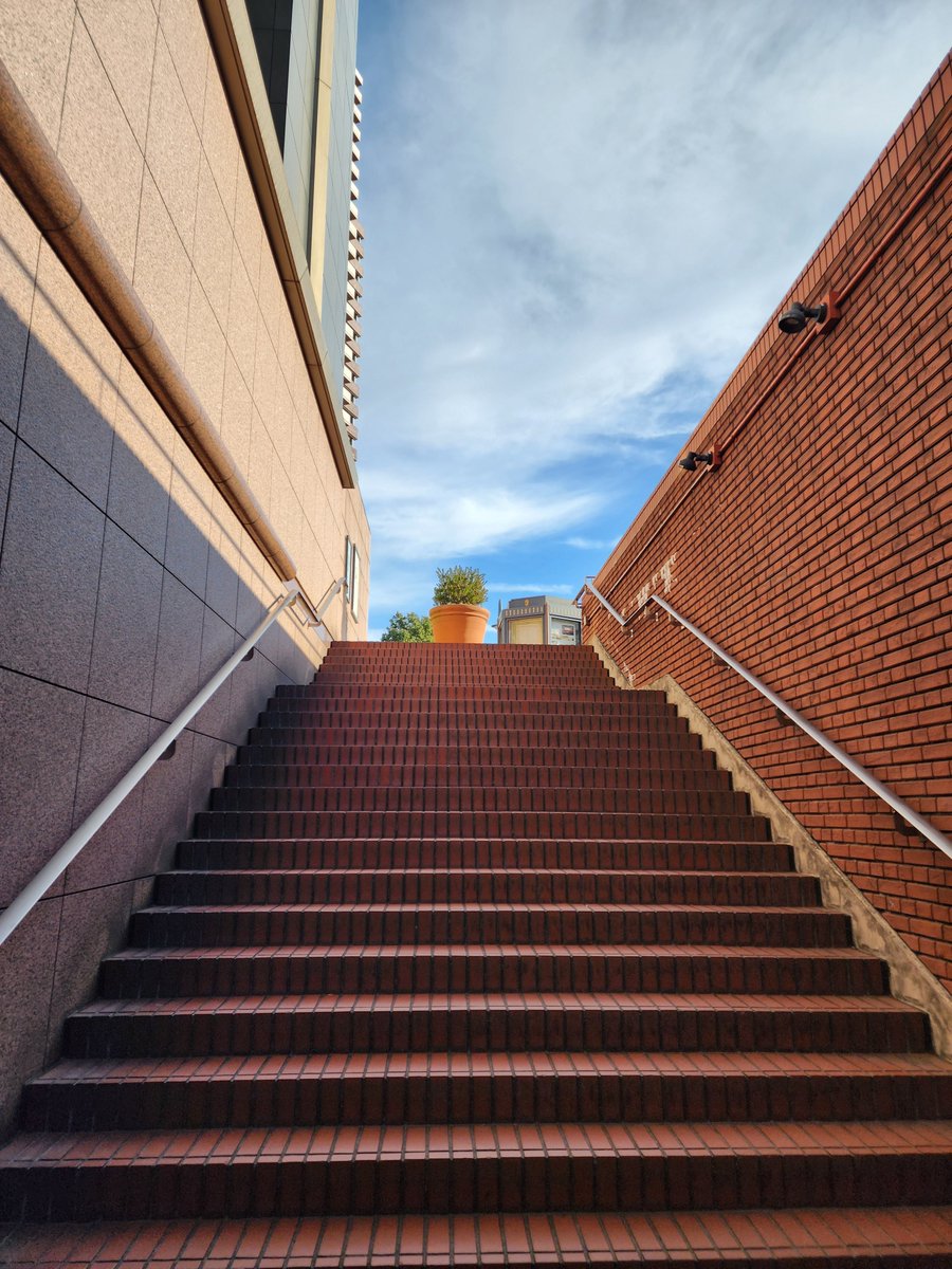 晴れた日に東京都写真美術館の横から見上げるこの巨大な植木鉢の植栽
